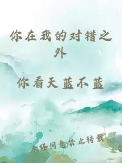 你在我的對錯之外